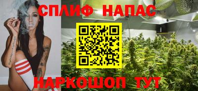 гидра Ачхой-Мартан