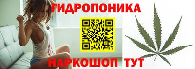 не бодяженный Аша