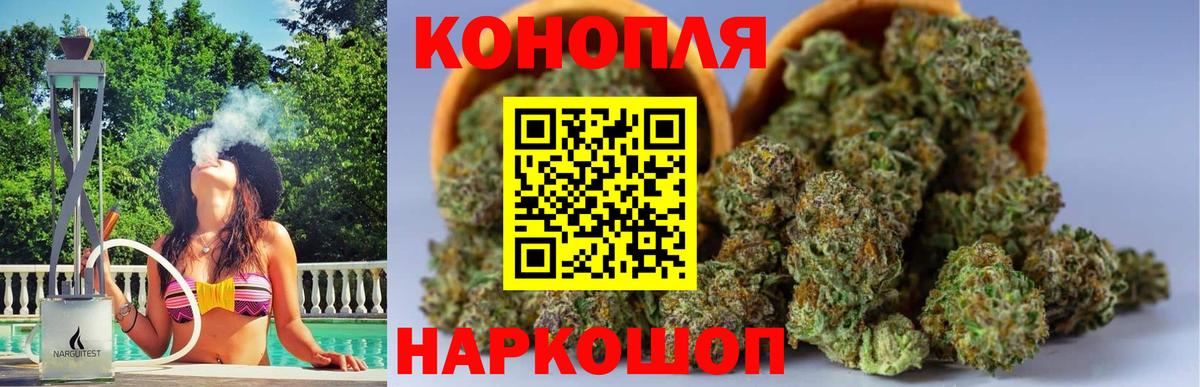 Марихуана ГИДРОПОН  Конопля сатива  Богородск  Вход с VPN  Шишки марихуана Amnesia 